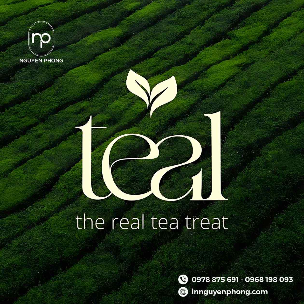 Mẫu thiết kế logo chè khô